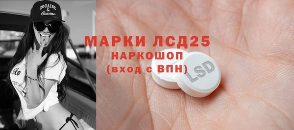 стаф Алзамай