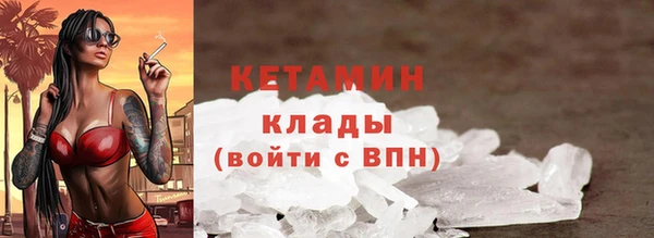 стаф Алзамай