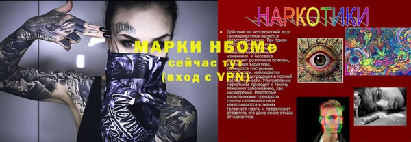 стаф Алзамай