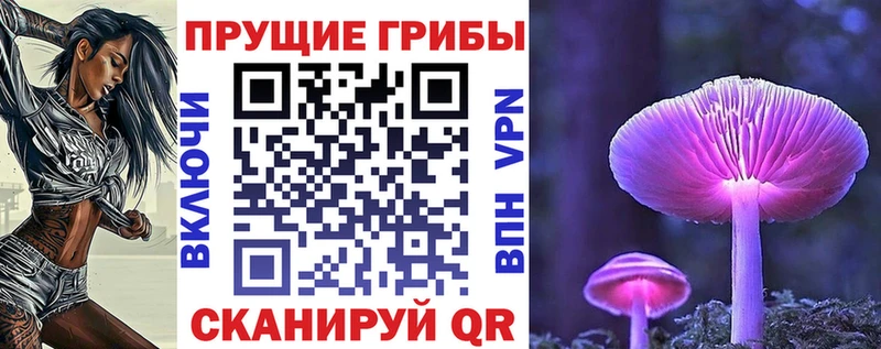 Галлюциногенные грибы Psilocybe  MEGA зеркало  Звенигово 
